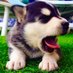 gori (@managori2218) Twitter profile photo gori (@managori2218) Twitter profile photo
