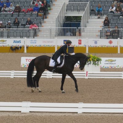 carloticabrieke's profile picture. Oftalmóloga de profesión, jinete de pasión