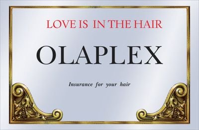 TopicRose's profile picture. master colorists