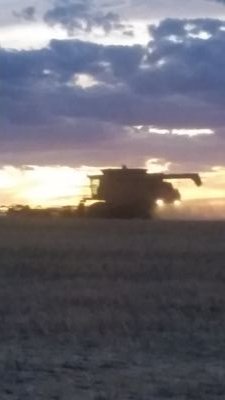 clarrieclake's profile picture. 