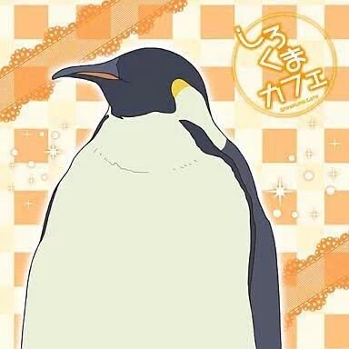 ちぃ (｀･3･´)さんのプロフィール画像