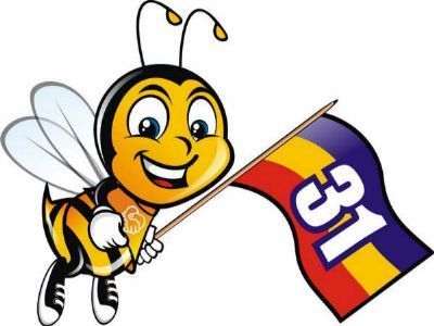 phs31guarapuava's profile picture. 