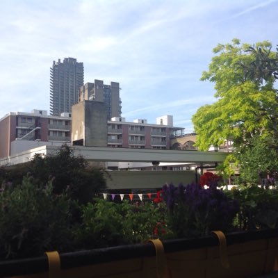 Allotment gardener in the heart of the City