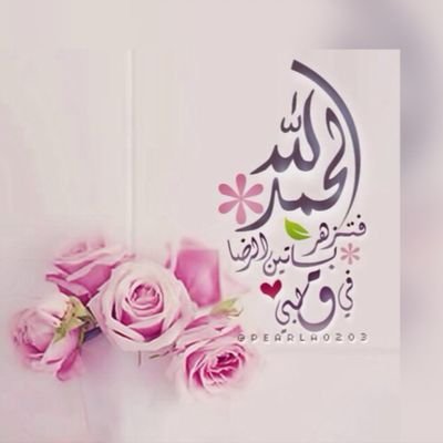 wsed725's profile picture. 