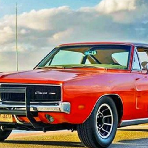 PenotDidier's profile picture. 