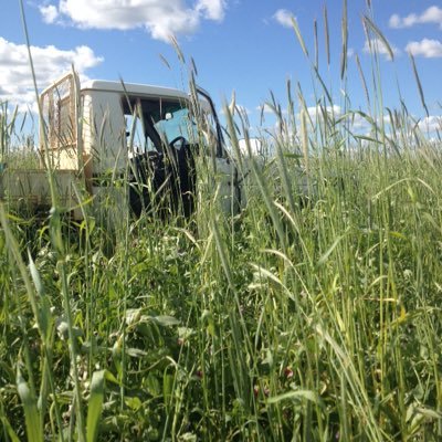 MckinleyMatt's profile picture. Just trying to look after the soil.