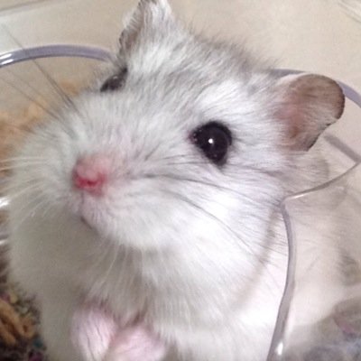 FaceC3's profile picture. 