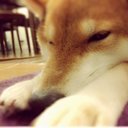 s@eko (@0525Open) Twitter