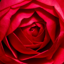 Carolyn Fay Stanley - @CrazyatFay - Twitter