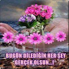 yarenburak8's profile picture. 