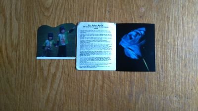 MargueritaAniko's profile picture. Oct WelcomeToMyTweets, *Favs* #RTs plenty of them from our #Dedicated @43PoliceForceEW  My#: #SobrietySavesLives