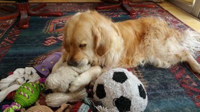 CantankerousPat's profile picture. Latitudinarian (for now).

Not following any sport.

Mayo abú.