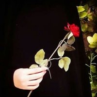 مــؤﺷۿ (@2204c5edfa3340d) 's Twitter Profile