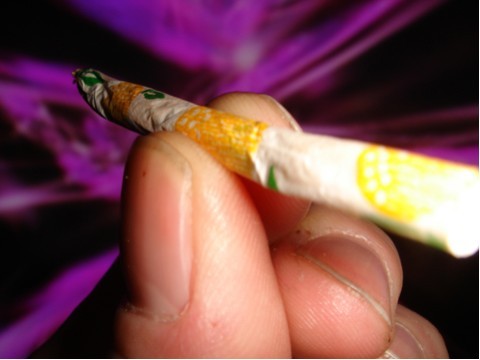 Just a guy who smokes A LOT of dope.  I want to share my life with people to prove your life doesn't go to shit on pot!