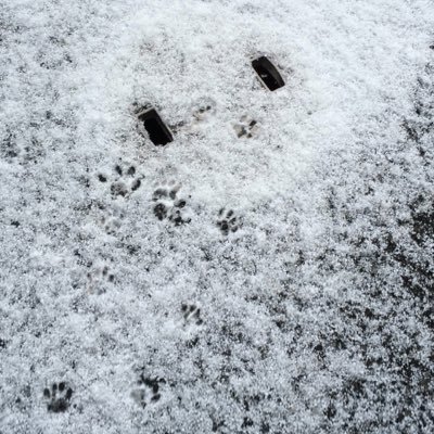 CamYuh's profile picture. ゲーム名:西叶 Nashinooo
