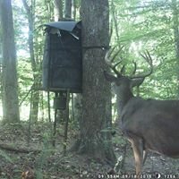 chuck_denney's profile picture. 