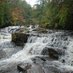 WoodlandsAndWaters (@woodlandswaters) Twitter profile photo
