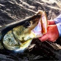 Fish After Fish(@TCoastTackle) 's Twitter Profile Photo