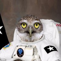 atheus (@uzayuzaya) Twitter profile photo