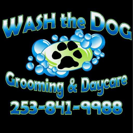 WTD is a self/full service dog wash & Dog Daycare in downtown Puyallup. Come in and wash your dog or let our groomers do it for you. We also provide dog daycare