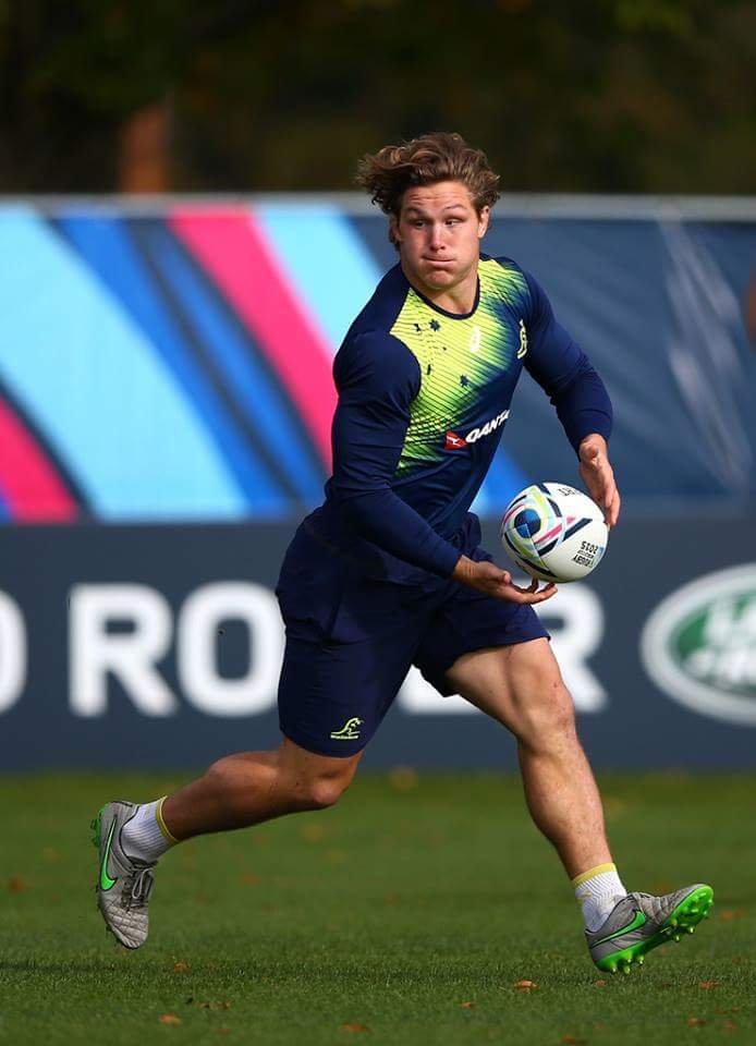 Michael Hooper Profile
