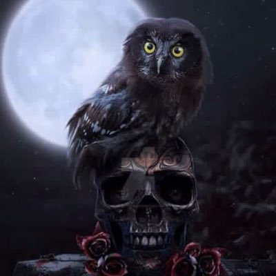 ____ur_Sir's profile picture. nicest person you could ever meet, piss me off & your worse nightmare come to life!!!!