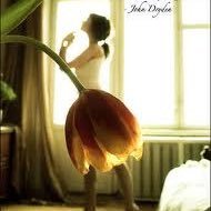 savepandas16's profile picture. book nerd~dedicated fangirl~future writer~dancer~band geek~Mormon~panda lover