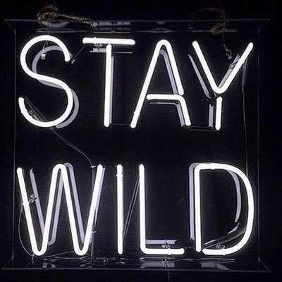 orhanmurathan's profile picture. 