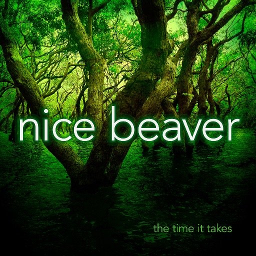 Nice Beaver is a progressive rock band founded in 1997. They made three albums: On Dry Land (2002), Oregon (2004) and The Time It Takes (2015).