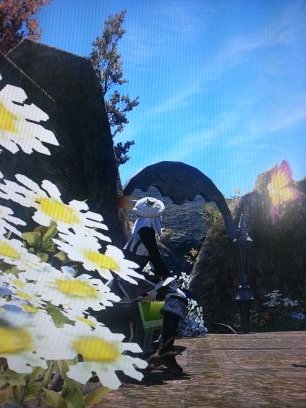 チャコさんのプロフィール画像