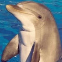aroussw's profile picture. 