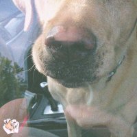 My Son Gordeaux (@mysongordeaux) 's Twitter Profile