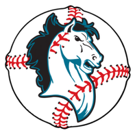 MSA Baseball (@msa_baseball) 's Twitter Profile