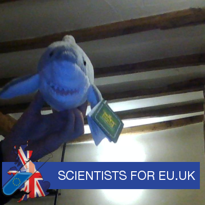 A snake who's grown fins with things to write, publish & do. Training Consultant-Employment Specialist at @autism. All tweets are in strictly personal capacity