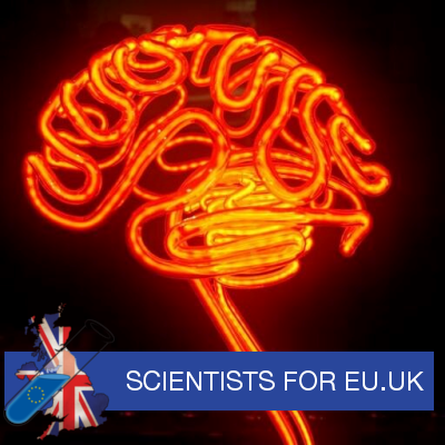 Python expert interested in biomedical image analysis