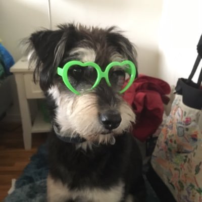 Dbard7's profile picture. #Edtech #Entrepreneur #SanFrancisco #Creativity #Innovation #PerformingArts #Educator #AI