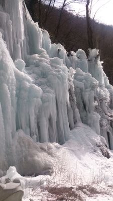 usa1590753's profile picture. 