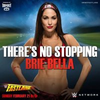 Nikki Sasha Brie (@paigebella4ever) 's Twitter Profile