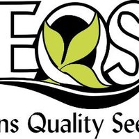 Ens Quality Seed(@EnsQualitySeed) 's Twitter Profile Photo
