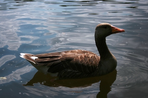 phil_d_benjamin's profile picture. 