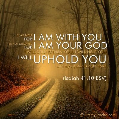 zorroeac's profile picture. A lifelong learner.  Loves The Walking Dead!