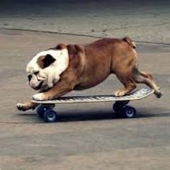 maxpowerok1's profile picture. 