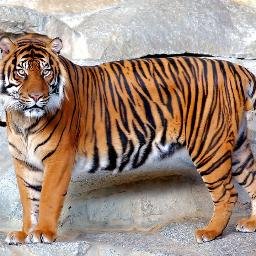 letras341's profile picture. 