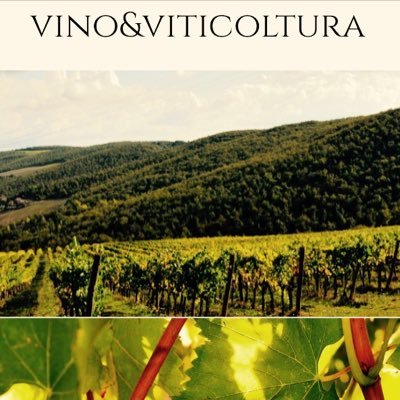 Il primo Blog sia tecnico che dilettevole sul vino! Gestito da Laureandi in enologia offre uno sguardo critico, scientifico e artistico al mondo del vino!