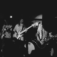 Little Fury Things (@littlefury_nc) 's Twitter Profile
