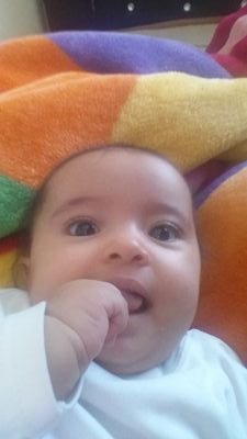 mehmetgazer's profile picture. 