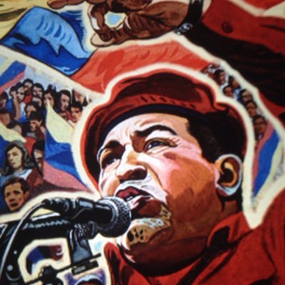 pfindlay's profile picture. palo