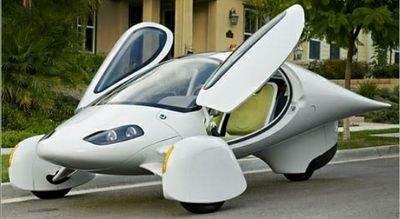 MoLeopoldo's profile picture. nació, creció, reproducción, en espera de la muerte