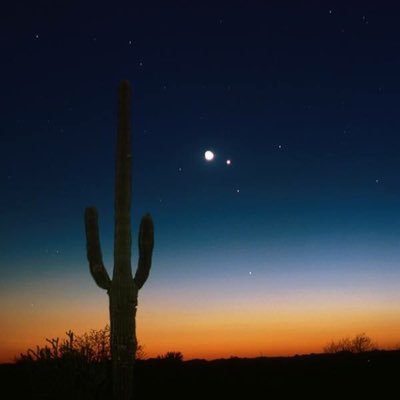 robust9999's profile picture. 