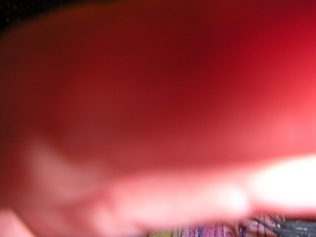 kkcuenca's profile picture. ...traveling atheist, vegan, poet.